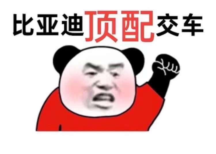 比亚迪元PLUS 泰州海陵有人提比亚迪元plus顶配了吗