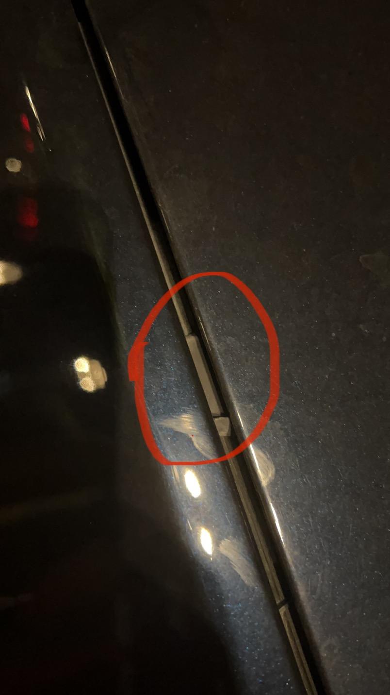 宝马3系 你们的车，机盖关紧，机盖与车的缝隙能不能看到胶垫？