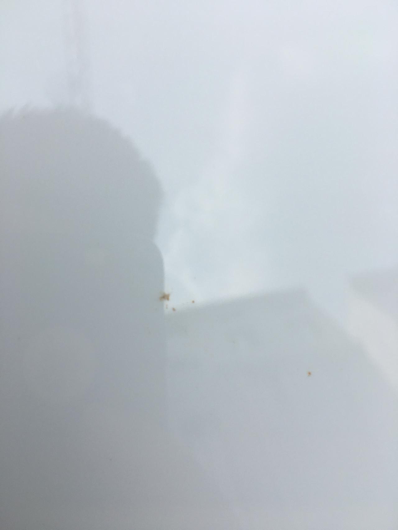 大众朗逸 刚提车1个月。车是3月份的。车上有这种黄点 很难擦看着像锈斑。这种情况在正常吗