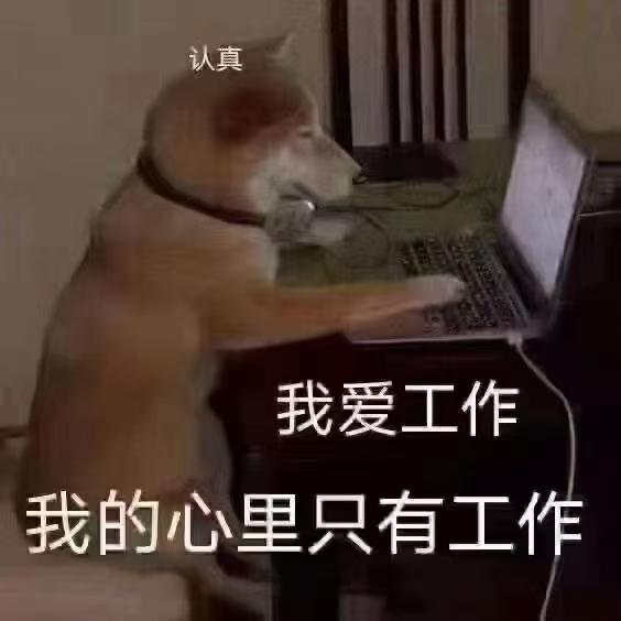 本田思域 哎。。在深圳工作，为了泡妞方便去买个车下午定了10代劲动，156800异地车牌限行就特么难受坑梓坪山大道至坪山
