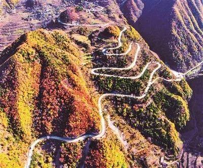 重庆乡村山坡路选什么车？选了好久的车本来想买卡罗拉的，但我爸我姐都说1.2T的车跑我们老家的路不行，所以功亏一篑。