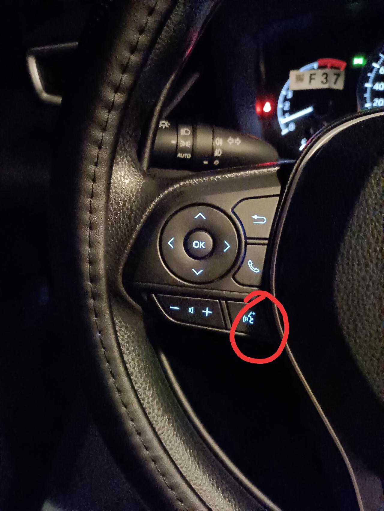 各位大神 ,2019款卡罗拉精英版这个按键 是什么 呢？
