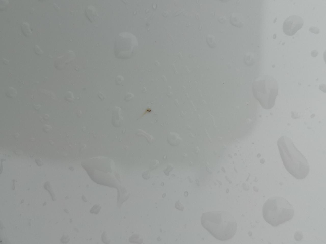 丰田卡罗拉 你们车身有吗？生锈了吗？今天刷车注意到