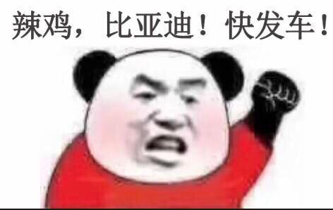 比亚迪宋PLUS DM-i 销售说现在提交我的信息向厂家下订单了，大概多久车能回来?