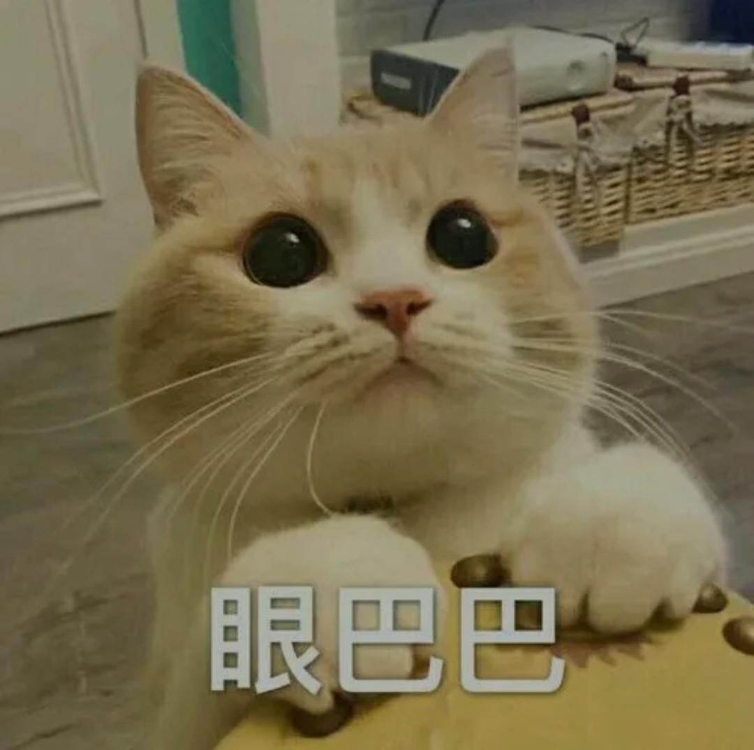 比亚迪宋PLUS DM-i 宋PLUS Dm-i AWD四驱的支持5G网络吗？