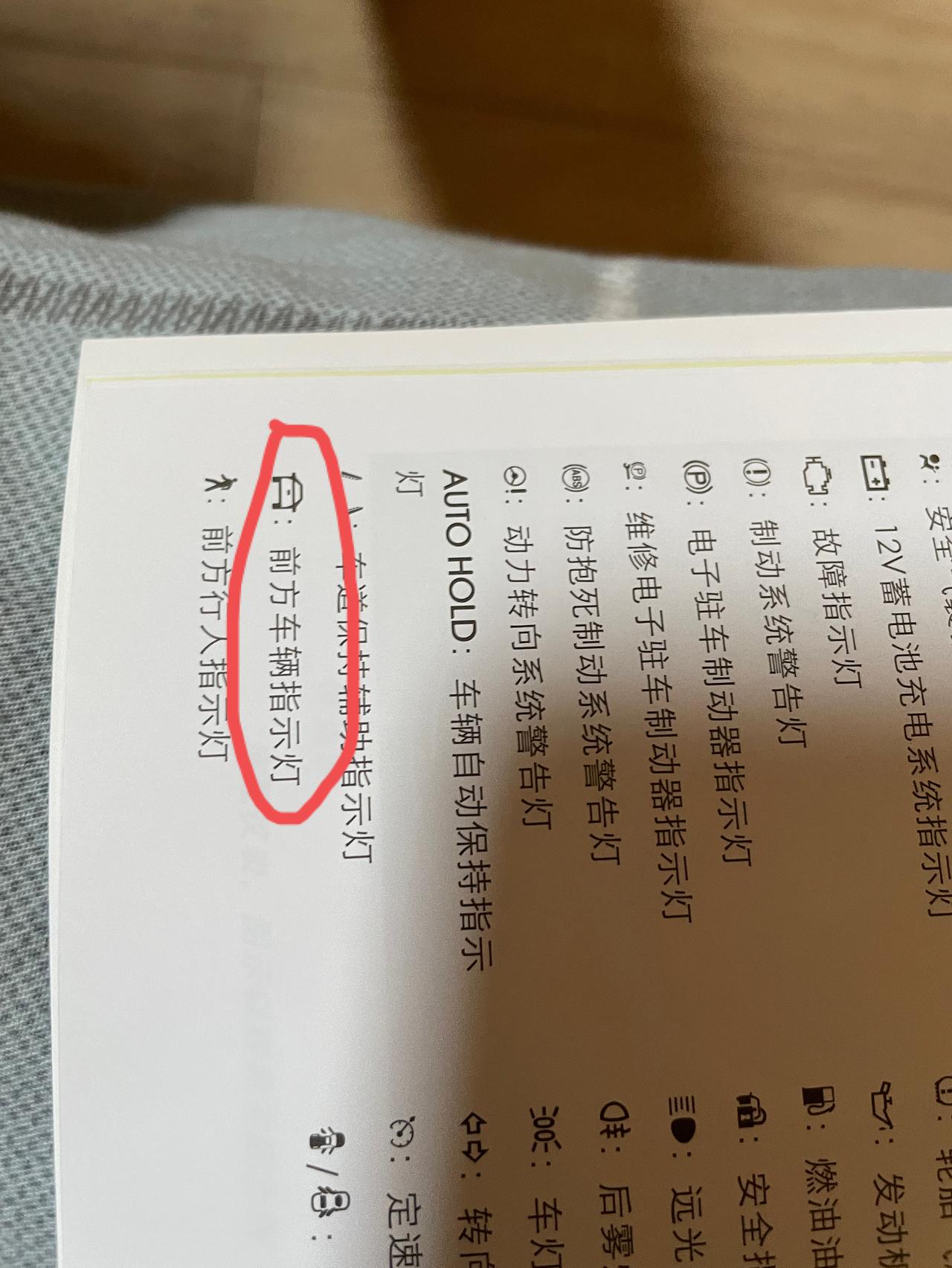 威朗pro追风，今天去贴了个膜，贴完之后前方车辆指示灯亮了，就是一个绿色的灯上面画了一个小横杠，有没有车友知道是什么意思