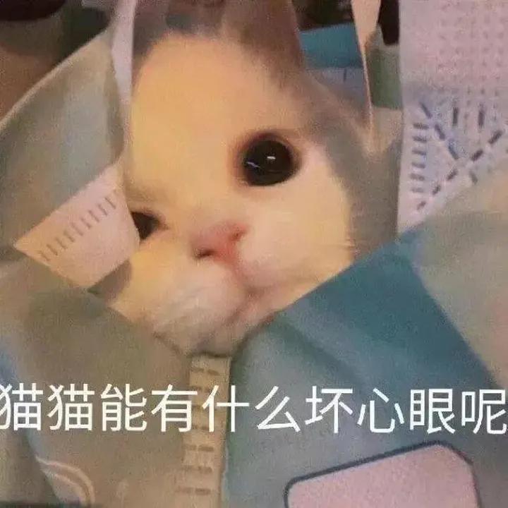 凯迪拉克CT5 一年到手十一万，能负担得起吗，今年25了