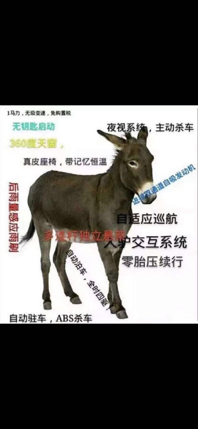 有湖南的兄弟近期想买威朗的吗？一起交流一下呢，讨论一下优惠和落地价。