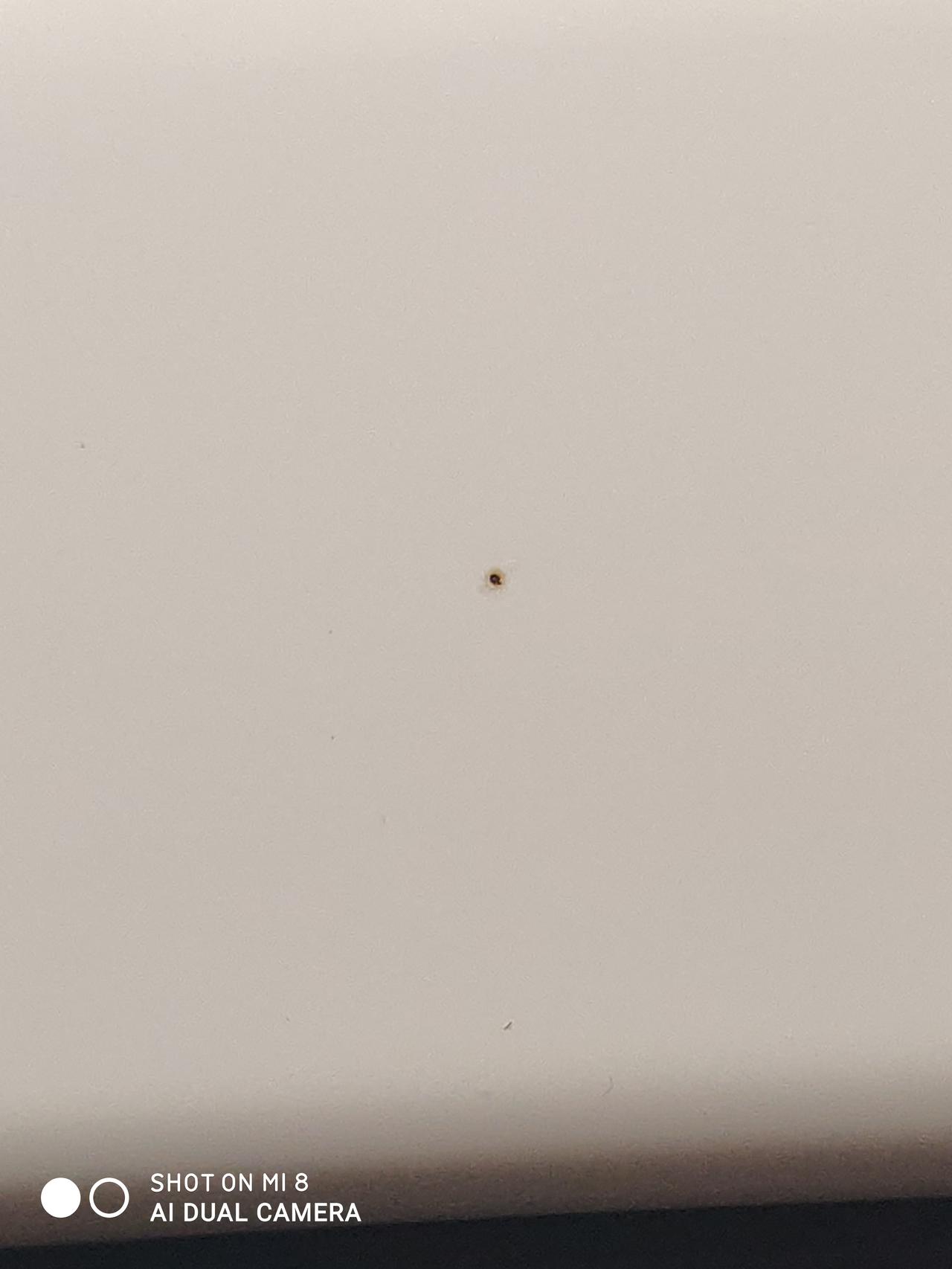 丰田卡罗拉 家人们，请问这个a柱上有个针眼漆面，还有点锈要处理吗？
