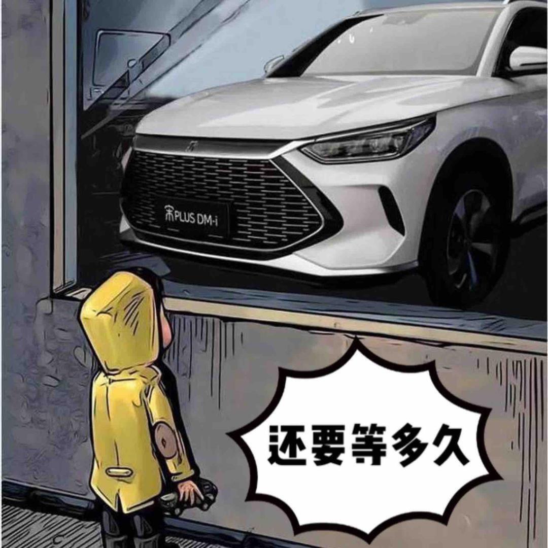 比亚迪宋PLUS DM-i 提车第七天、开去加油、下车后工作人员突然和我说有股烧焦的味、打开车门发现车内确实有烧焦味道，