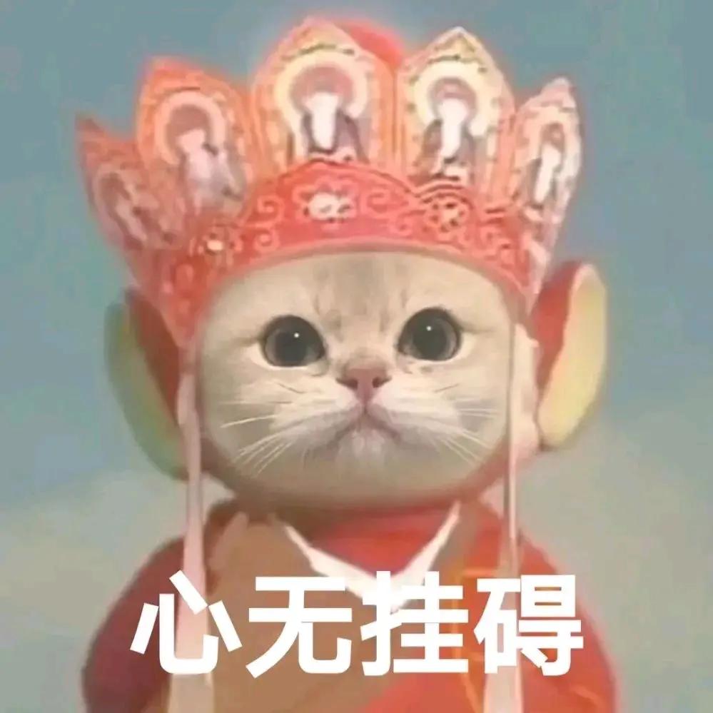新款思域啥会能买呀