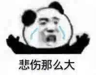 2021菲斯塔精英怎么样升级carplay是最经济的选择