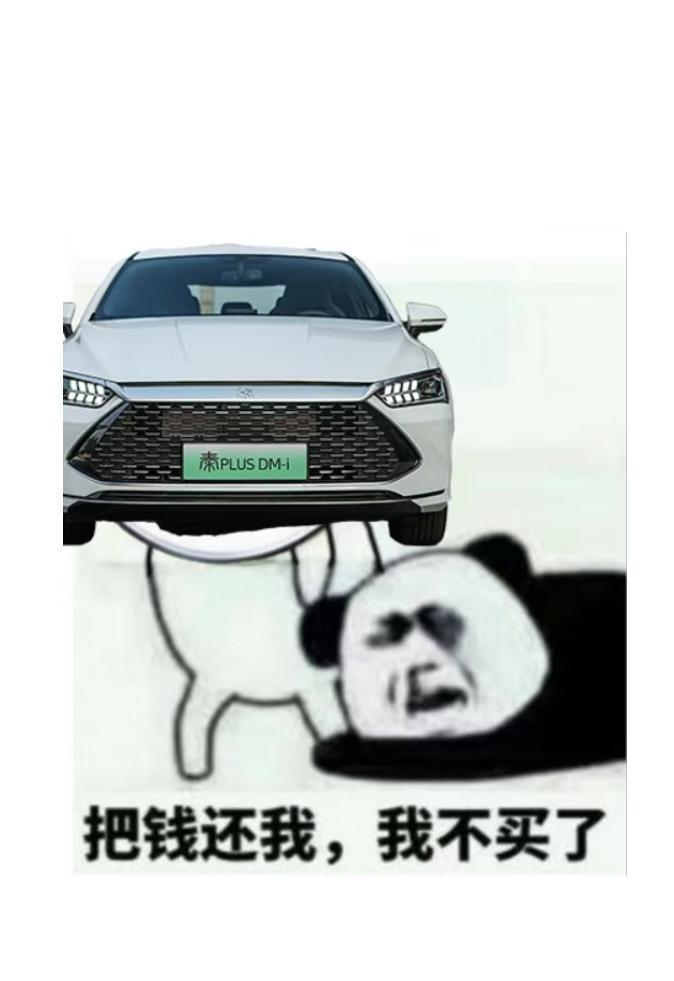 比亚迪秦PLUS EV 这车可以选悬浮仪表？ 选悬浮仪表要等多久 会不会跟dmi一样等三五个月