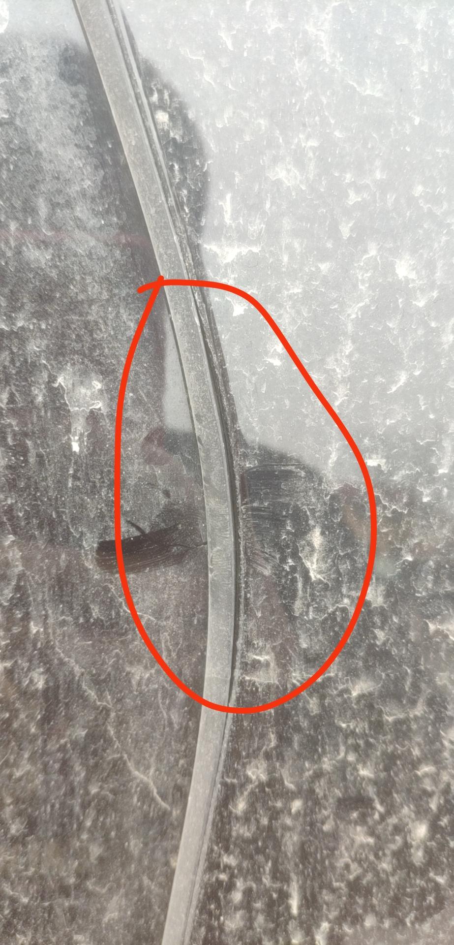 星途凌云 你们后车窗的胶条有开的吗？