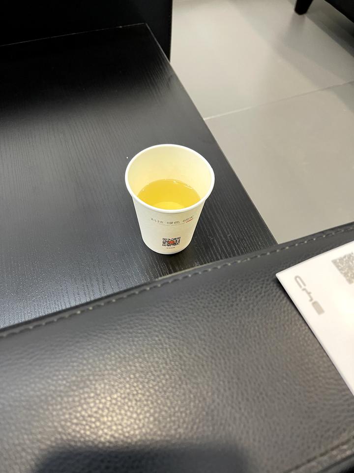 比亚迪秦PLUS EV 提车第二天，到充电站从25充到95，出充电站仪表盘上电耗上面亮起了一个黄色的圆圈里面有个小乌龟，