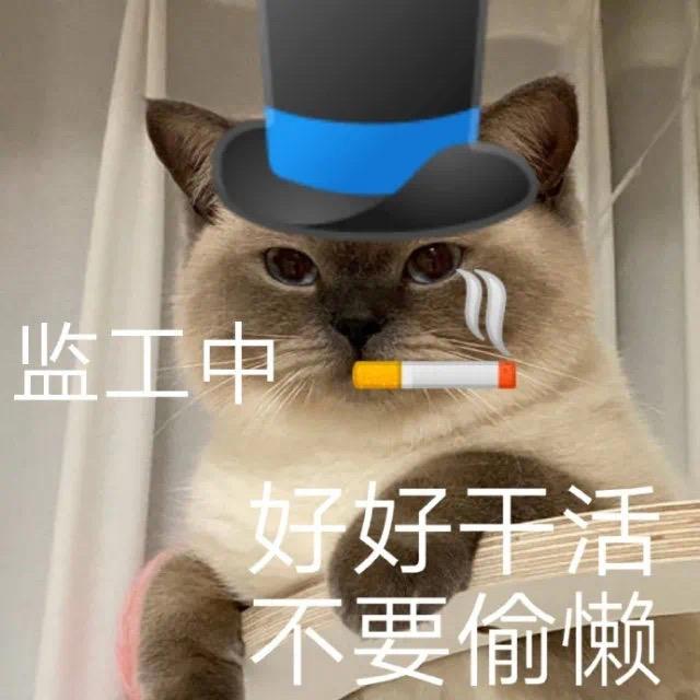 本田雅阁 求大佬指导，涡轮尊贵和自吸锐智对比哪款更值得入手呀？