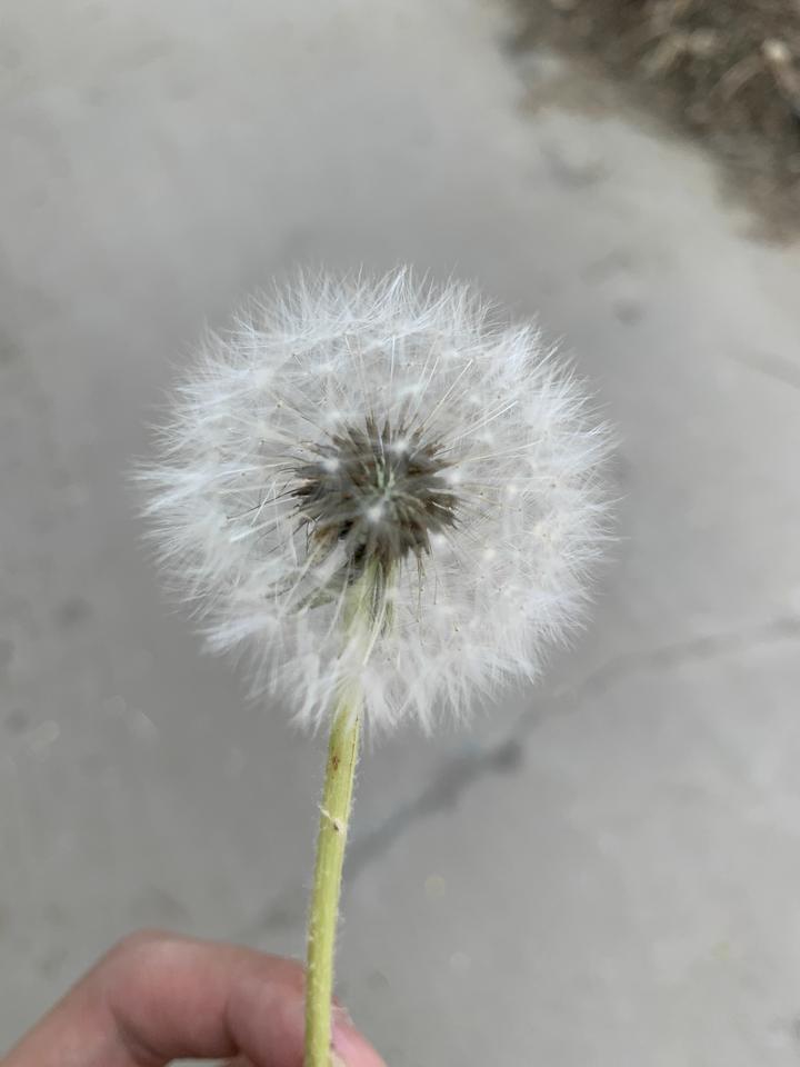 老铁们，保定石家庄，君越能有多大优惠呀