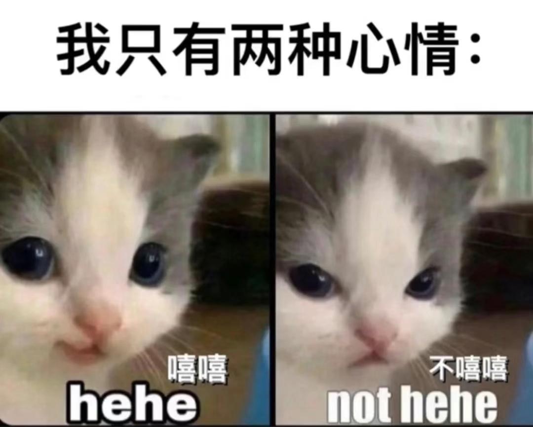 宝马3系 南京或者合肥地区325改款运动曜夜落地估计多少钱，可以送点啥