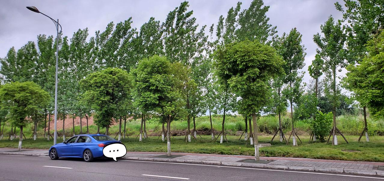 宝马3系 19宝马320li耀夜版，冷启动时车子往前窜一下，什么原因？大家有么？冷车启动后一秒左右，没松手刹、没挂档，车