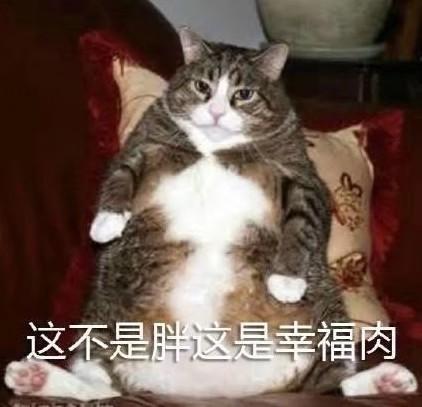宝马3系 朋友们好啊，现在长轴325曜夜谈到38.5W，是不是可以入了。可以的话，周末就去交钱了???