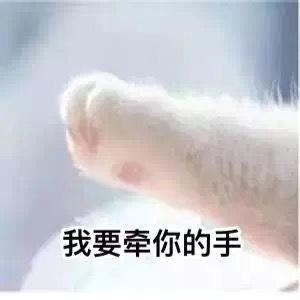2020轩逸手动挡悦享落地价大概多少钱？