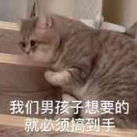 坐标绍兴，帕萨特330豪华21款落地大概在多少？有没有买过的车给个参考价格？