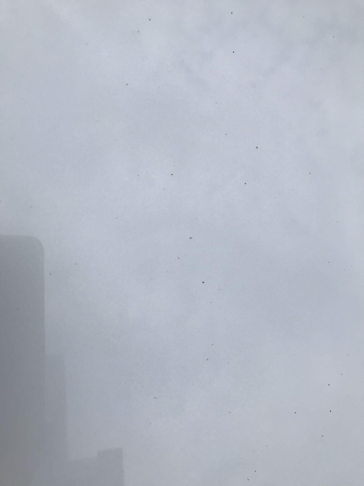 丰田威兰达 停在树下，这些树胶洗不掉用了柏油沥青清洗剂也不行，使用重一点可以扣掉，问问大家使用什么东西可以弄掉。