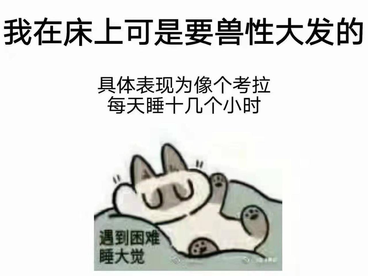 奇瑞瑞虎8 四川想入手虎8逐风2.0，不知道现在落地需要多少钱，虎7现在又是优惠多少呢