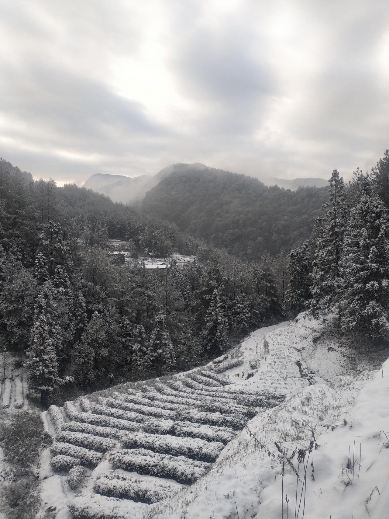 本田凌派 你们有没有试过冰雪道路爬坡是一种什么样的体验