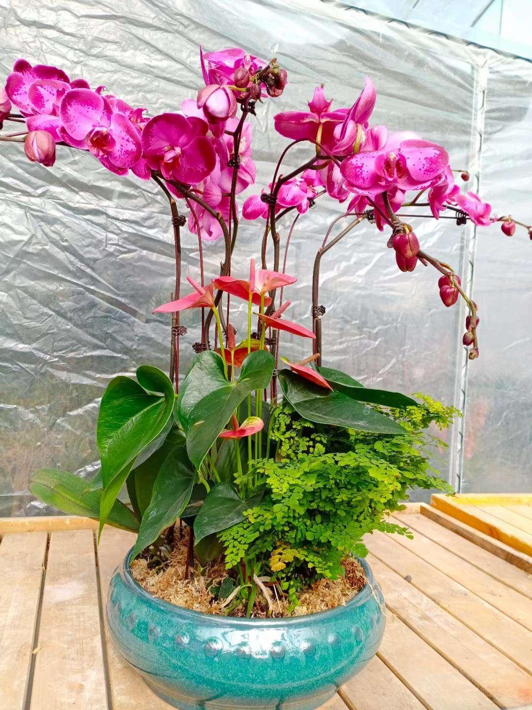 在纠结买哈弗初恋还是东风风光580por   请大神赐教
