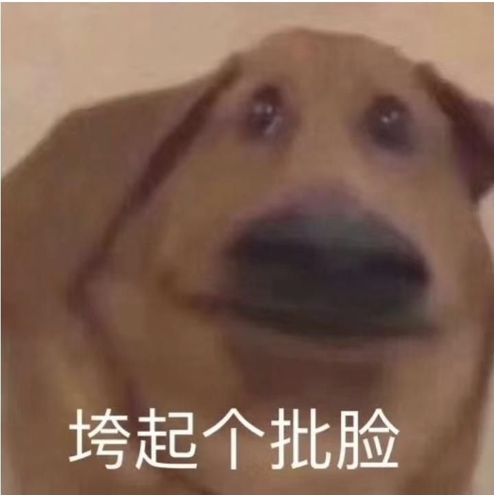 迈腾GTE尊贵版可以选装座椅通风吗？南方的我必备选项啊……