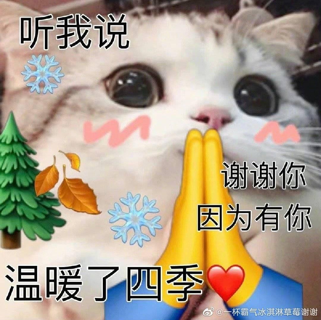 马自达CX-30 请问有推荐的行车记录仪吗女司机啥也不懂