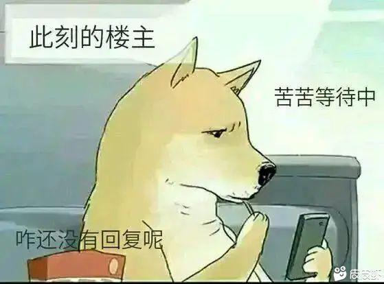 奥迪Q3 现在上海 奥迪q31.4t 时尚动感落地 最少多少能拿 这几天想订车 不了解 有没有大哥指点一下