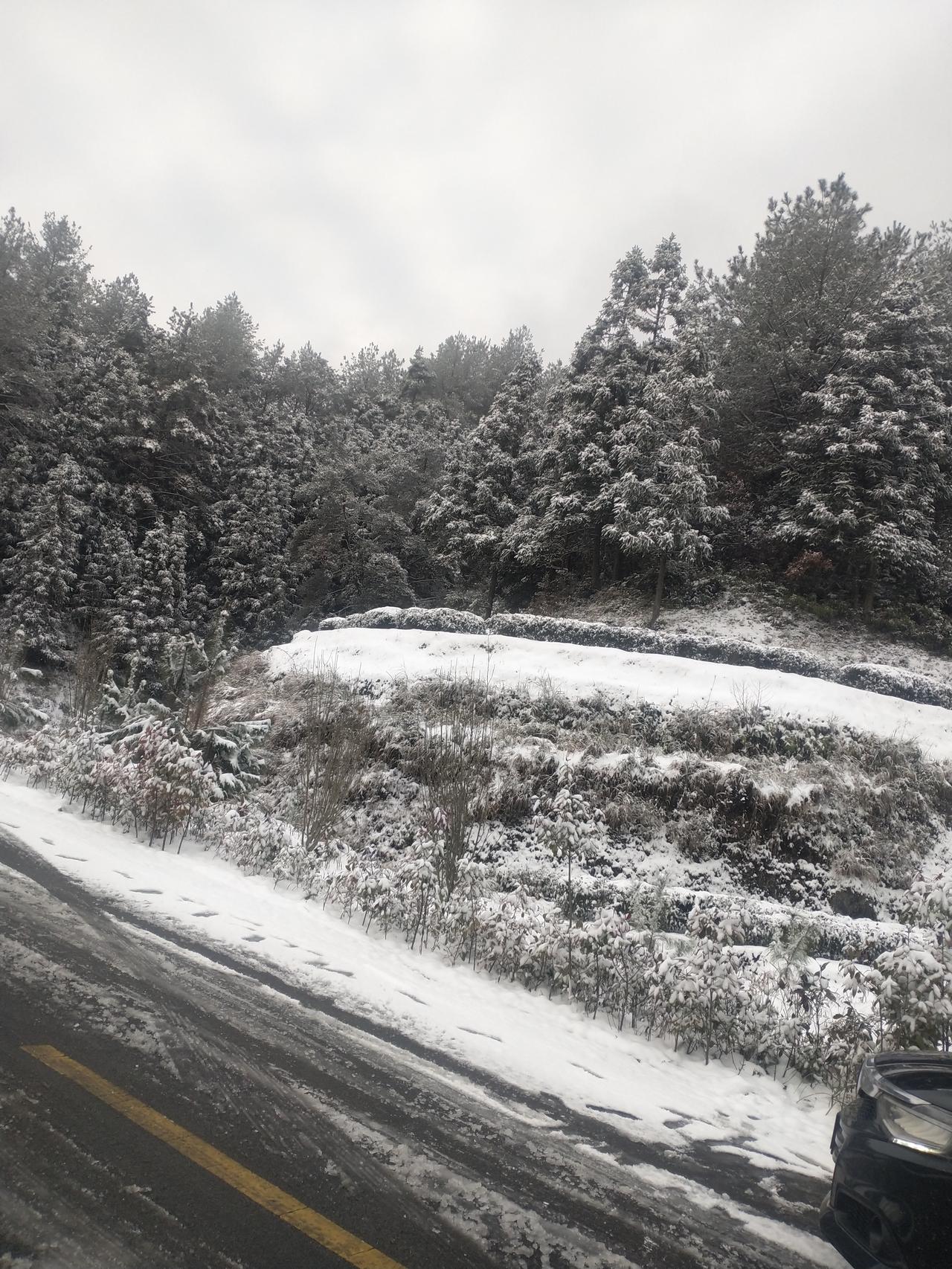 本田凌派 你们有没有试过冰雪道路爬坡是一种什么样的体验