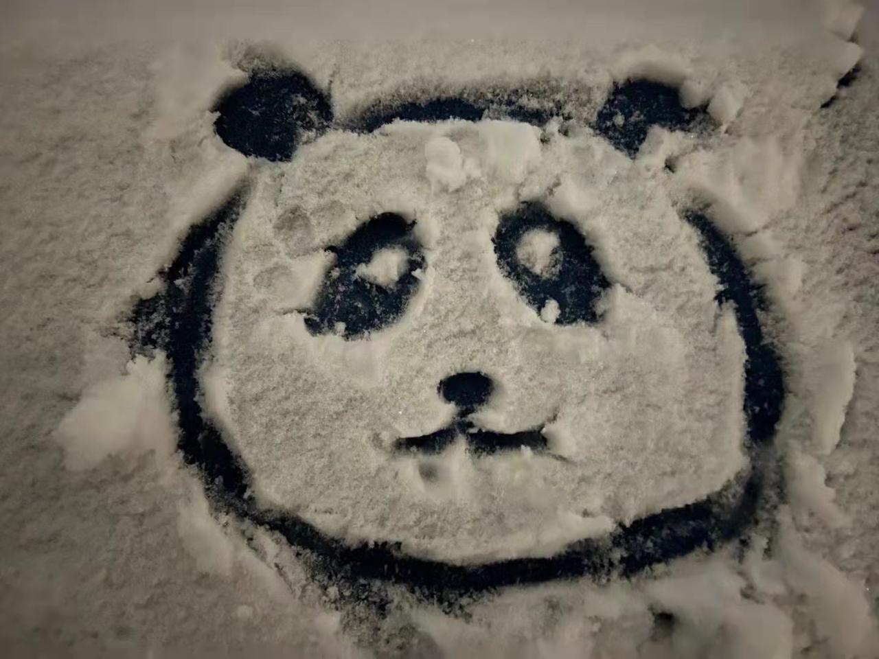 奇瑞瑞虎8 请问一下，虎8鲲鹏2.0，雨刮条怎么掰起来呢？冬天下雪了，停车场他们都立起来了，我的掰不动啊，网上搜了下攻略