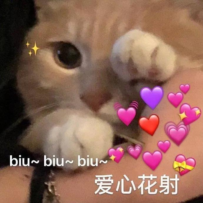 我的是19年领界丐中丐， 我想加个一键启动和自动车窗行吗  请大佬们指点迷津。