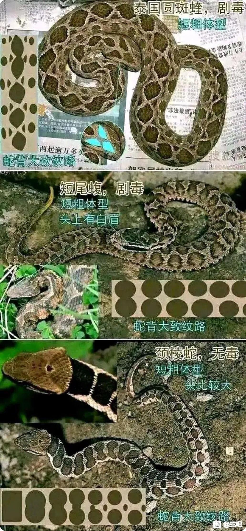 大众途昂X 请问哪个车型带雨量侦测自动关窗功能？还是全系都有呢？