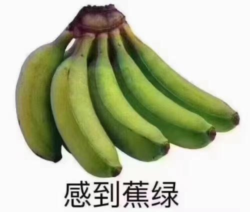看了大家的评论，说的最多的就是英朗抖动很大，请问这车是真的开着很抖吗？还能不能买?