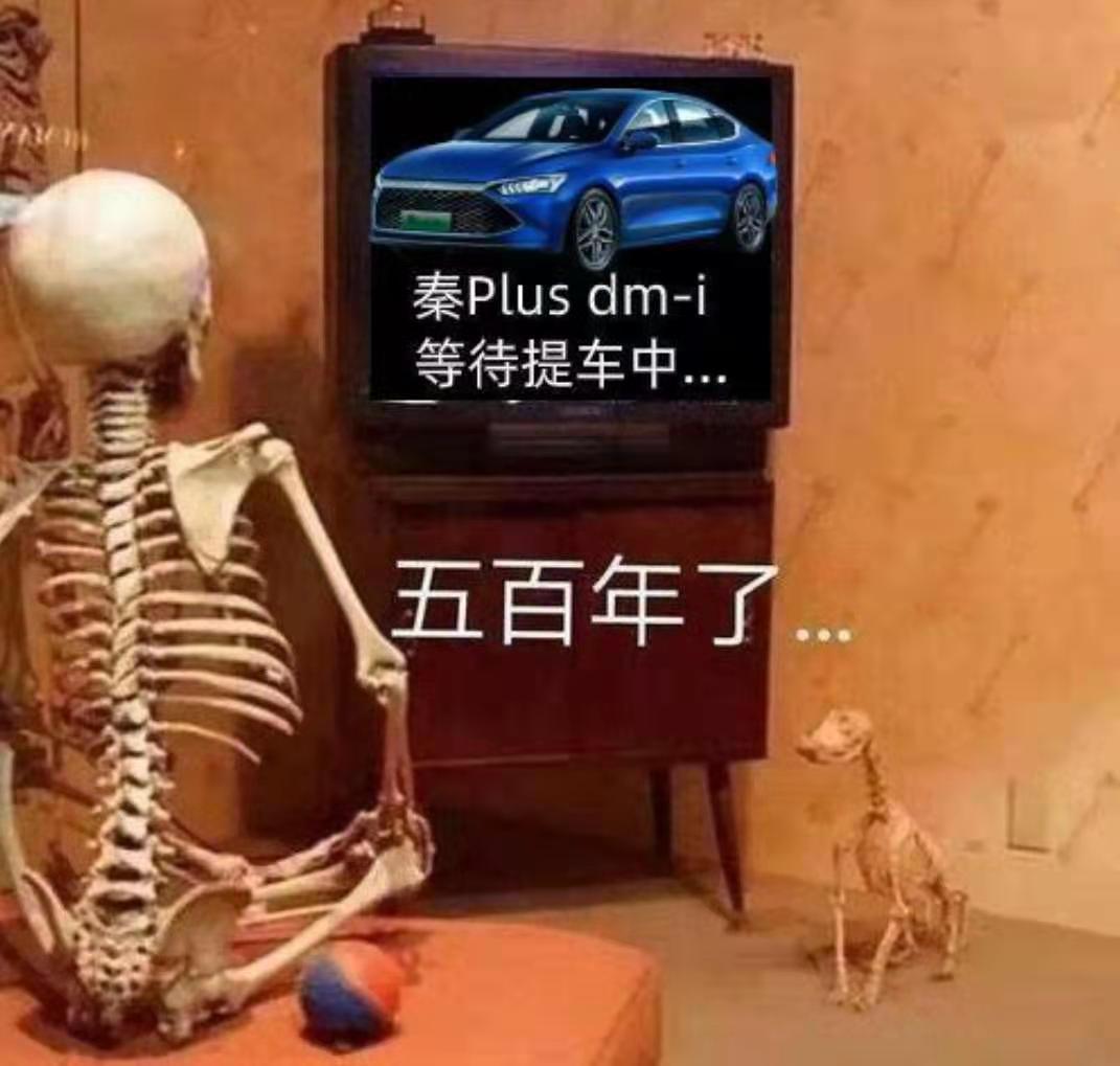 比亚迪秦PLUS DM-i 比亚迪卖车是我们的荣幸慢慢等都105天了