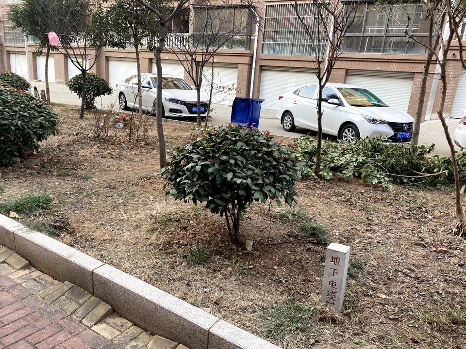 比亚迪秦PLUS DM-i 准备安充电桩了，储藏室和停车的地方隔了一片绿化草地，充电桩只能安在储藏室，需要扯10到15米