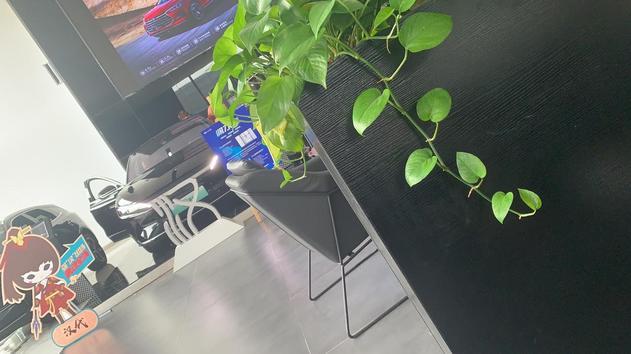 比亚迪秦PLUS DM-i 还有在等车的嘛
