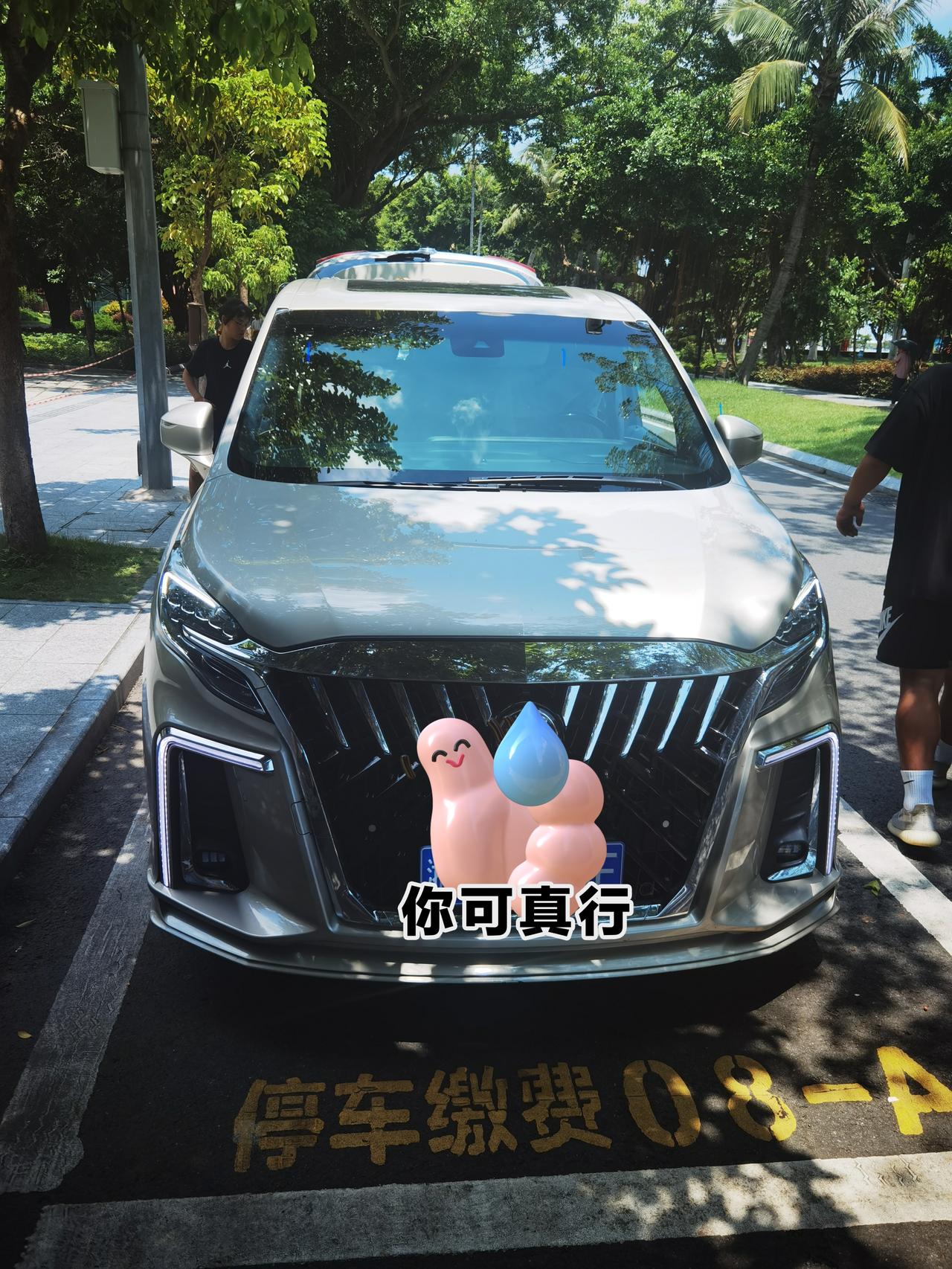 宝马3系 求问 这样为啥违停 没有逆向 没有压线 没限时