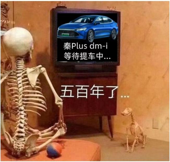 比亚迪秦PLUS DM-i 即将加入购车大军，10月3日，去杭州，看看秦Dmi和欧尚X5，一年大约1.5万公里，家里领导