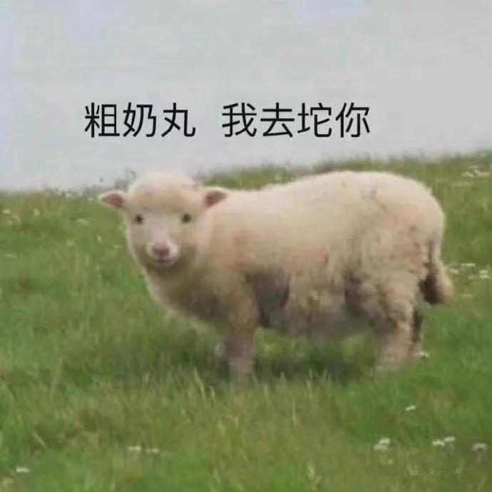 长安UNI-V univ尊贵版十二万落地贵了吗？