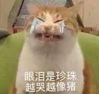 宝马3系 请问大家的高德导航播报语音时网易云音乐声音会不会小到几乎听不到，是高德问题还是网易云问题还是我设置的问题