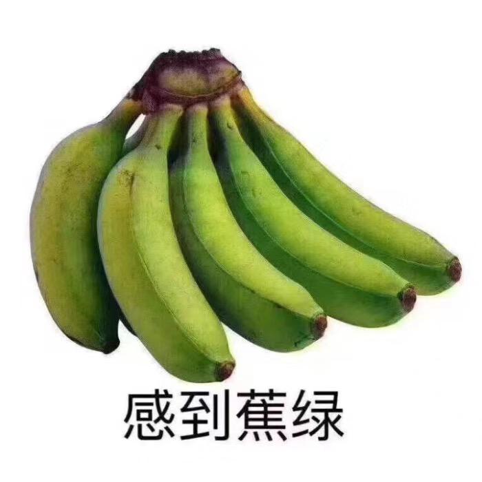 宝马3系 为什么没有320耀夜