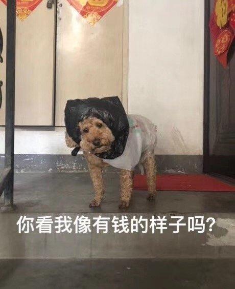宝马3系 第二年bao xian20款宝三，新车人bao 1w出点头，快一年了打电话过来说附加xian种五个，因为一年没