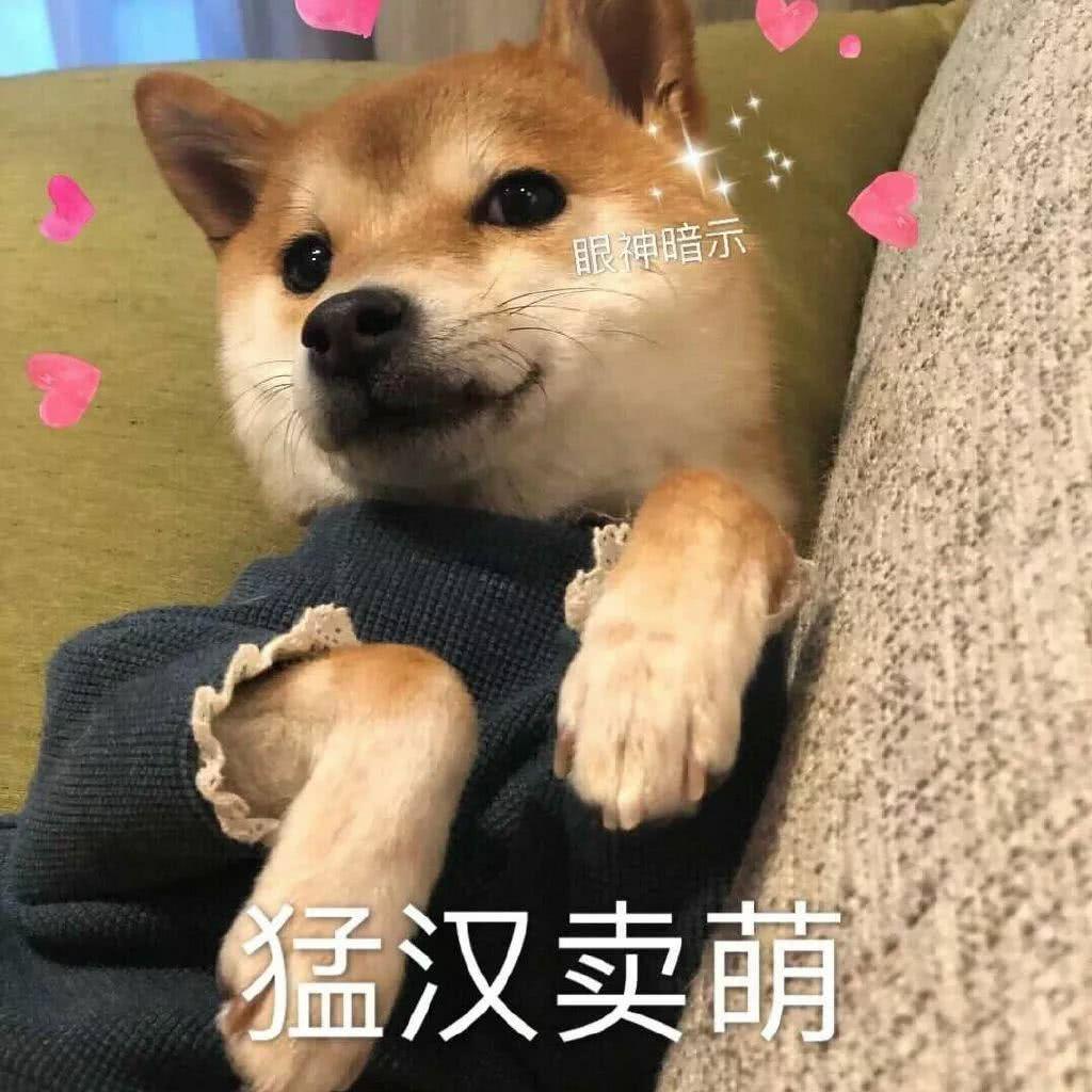 宝马3系 舒适进入和hud香不香？我这边问的加选配要等四个月，要么就裸车。有点纠结。。。。