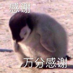 奥迪A4L 20款时尚动感6月份就定了，一直没拿到车，然后销售说20款停产了，要么给退定金，要么重新定22款，大佬们咋办