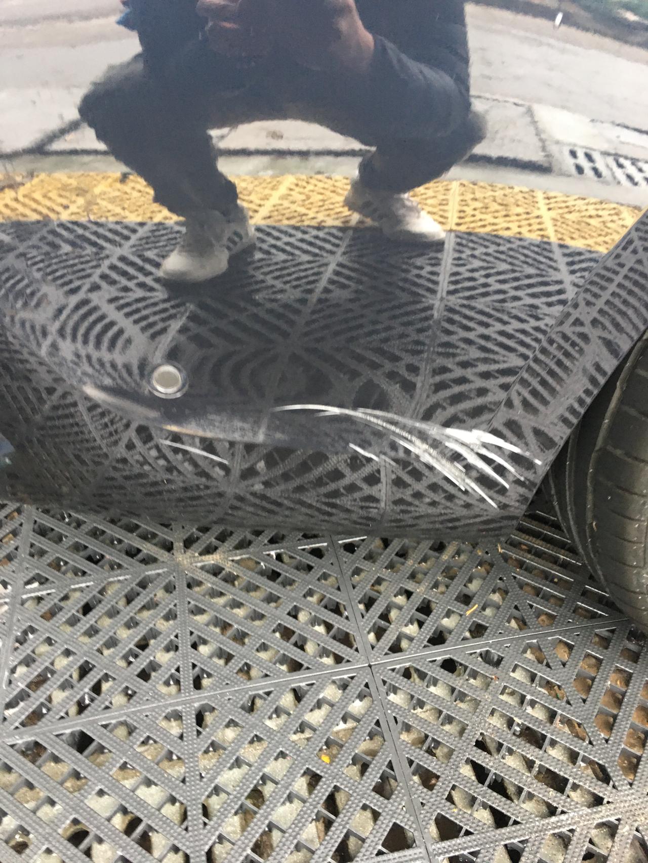 宝马3系 过年回老家，刮了。是做漆还是换一块新的，我的心啊，求大神指点。